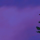 Tile[-22:-11]