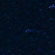 Tile[-22:1]