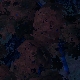 Tile[78:107]