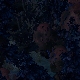 Tile[80:100]