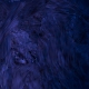 Tile[81:94]