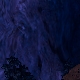 Tile[81:95]