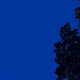 Tile[82:83]