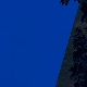 Tile[82:84]