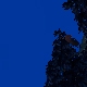 Tile[83:80]