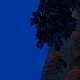 Tile[83:81]