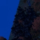 Tile[83:82]