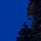 Tile[84:77]