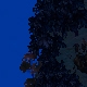 Tile[84:78]