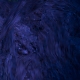 Tile[84:92]