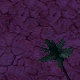 Tile[-12:-11]