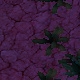 Tile[-12:-8]