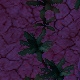 Tile[-12:-7]