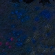 Tile[-12:0]