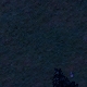 Tile[90:99]