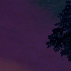 Tile[96:81]