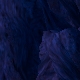 Tile[99:76]