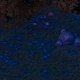 Tile[104:103]