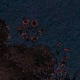 Tile[105:98]