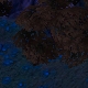 Tile[105:103]
