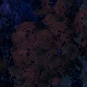 Tile[110:77]