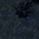 Tile[111:98]