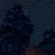 Tile[111:109]