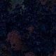 Tile[113:77]