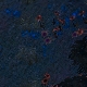 Tile[113:94]