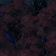 Tile[114:88]