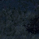 Tile[116:98]
