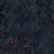 Tile[116:106]