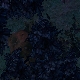 Tile[116:109]