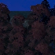 Tile[118:75]
