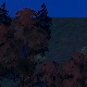Tile[119:75]