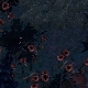Tile[123:100]