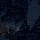 Tile[124:78]