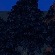 Tile[125:75]
