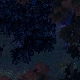Tile[126:81]