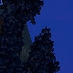 Tile[129:76]