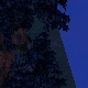 Tile[129:77]