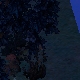 Tile[129:78]