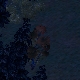 Tile[129:79]