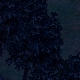 Tile[129:80]