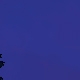Tile[134:90]