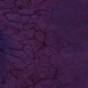 Tile[-7:-16]
