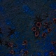 Tile[-7:-1]