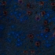 Tile[-7:0]