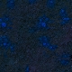 Tile[-5:11]