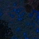 Tile[-5:13]